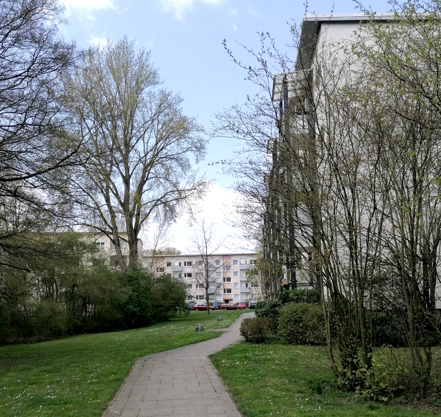 Wohnungsnahe Grünanlage in der Gartenstadt Bremen mit viel Potential für mehr biodiversitätsfördernde Maßnahmen auf Quartiersebene. Foto: Rike Jakubigk, 2021